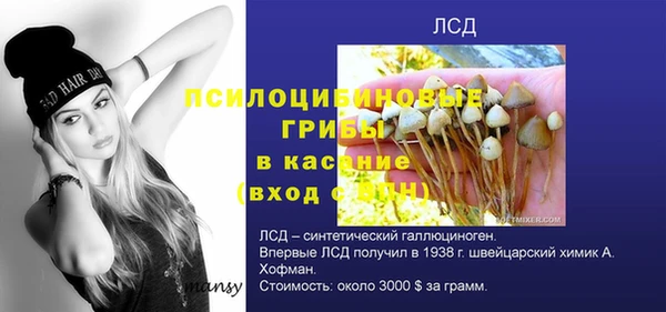 эйфоретик Дмитровск