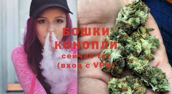 первитин Дмитриев